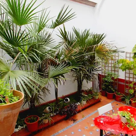 Residencia Viriato Hostal *